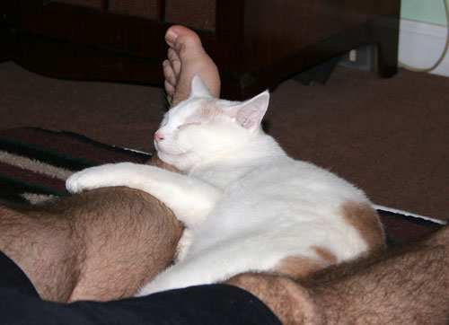 Milo 12